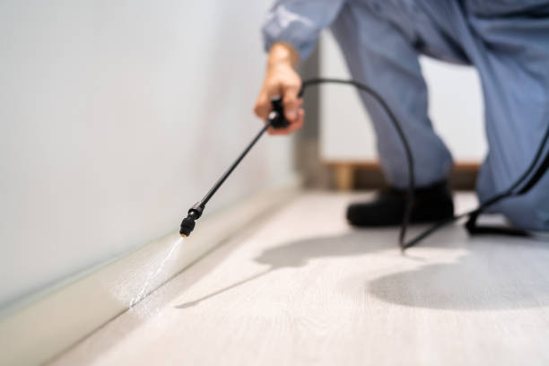 Licensed Termite Control service in Closter, NJ - Nex Pest Control