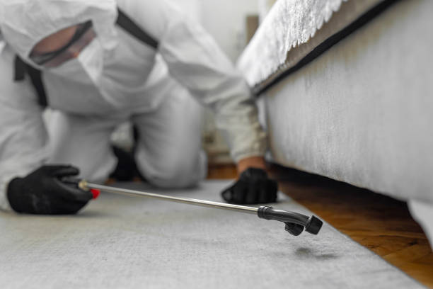 Professional Termite Control technician working in Closter, NJ