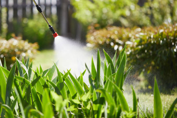 24/7 Emergency Termite Control experts in Closter, NJ